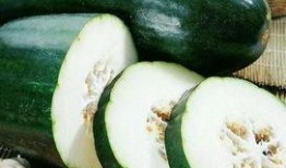 雨季冬瓜爆料视频大全,揭秘幕后真相与精彩瞬间